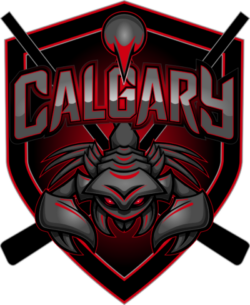 Calgary Sledge Hockey Association
